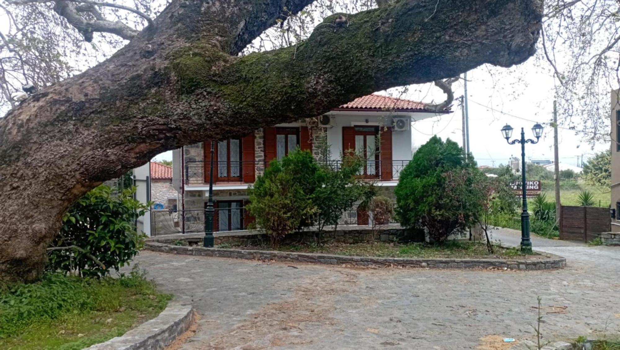 Villa Iris Мистрас Екстериор снимка